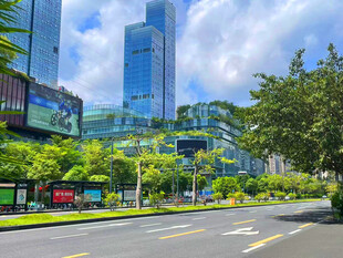 城市道路旁的现代建筑景观