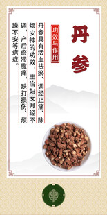 中药材 丹参