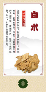 中药材 白术