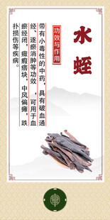 中药材 水蛭