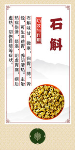 中药材 石斛