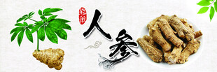 人参海报标签