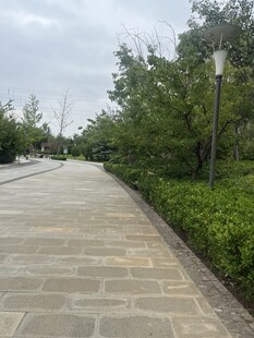 宁静的林间砖石步道