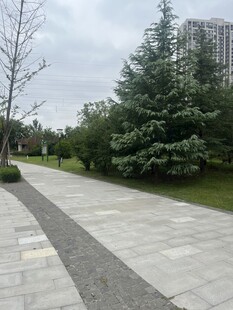 城市公园中的宁静步道