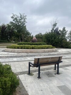 公园中的长椅与绿植景观