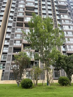 高层住宅旁的绿意景致