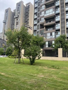 小区内的绿地与高楼景观