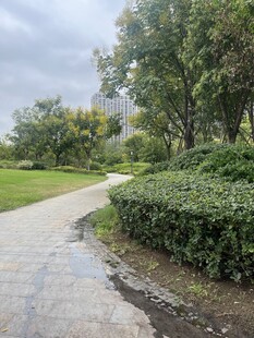 雨后静谧的公园小径