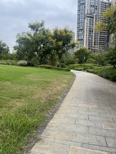 城市中的宁静小径