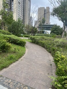 城市中的静谧绿植小径