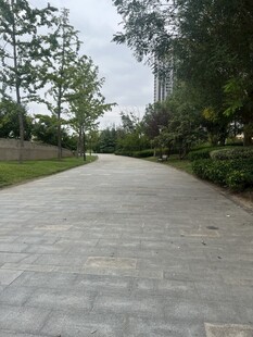 城市中的宁静林荫步道