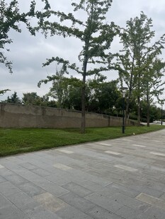 户外空旷水泥地与绿树