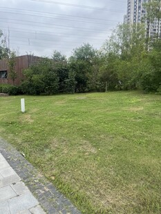 户外开阔草地与周边景致
