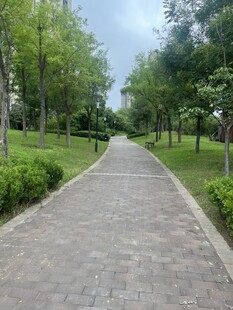 公园中的幽静砖石小路