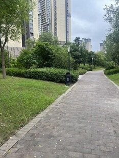 小区内的静谧休闲步道