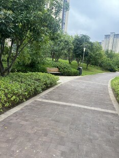 城市中的静谧林荫小道