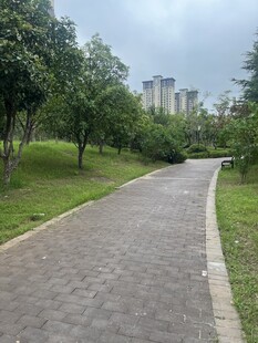 城市公园中的蜿蜒砖石小径