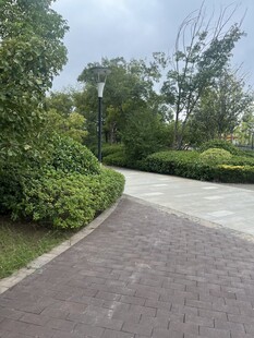 公园蜿蜒小径与绿植景观