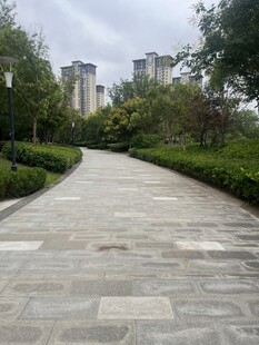 城市中宁静的石板林荫小道