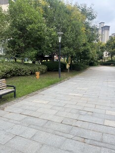城市公园中的宁静步道