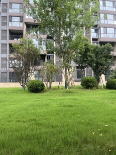 小区内绿意盎然的草坪景观