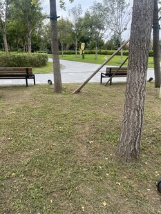 公园草地与休闲设施场景