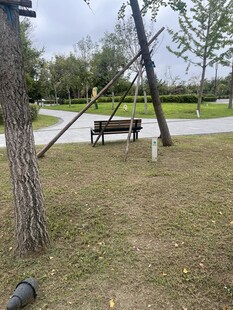 公园草地旁的休闲长椅