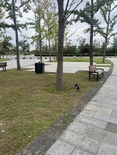 公园休闲场景