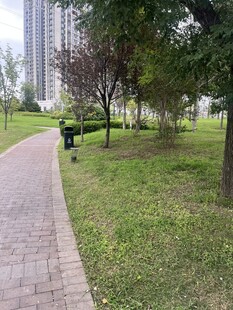公园中的砖石小径与绿树