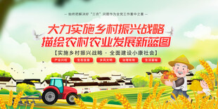 大力实施乡村振兴战略