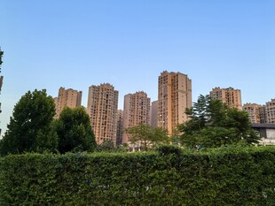 城市高楼与绿植景观