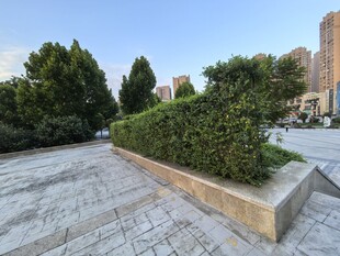 城市广场绿植景观
