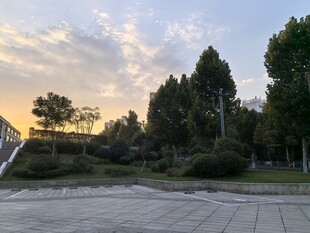 黄昏下的公园静谧景致