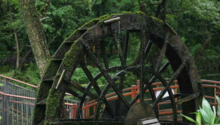 古老水车静立绿意中