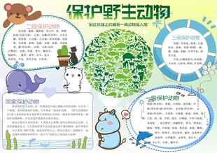 爱护动物手抄报