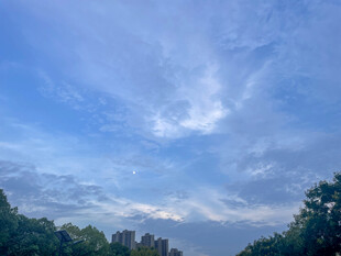 蓝天绿树间的美丽天空
