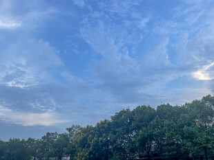 蓝天绿树间的自然美景