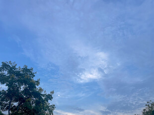 蓝天绿树间的美丽天空