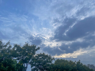 蓝天绿树间的云霞美景