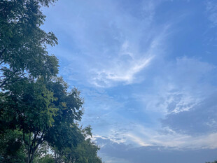 蓝天绿树间的美好景致