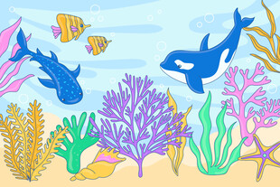 海底世界的多彩海洋生物