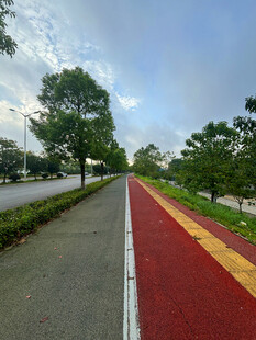 彩色步道旁绿树成荫