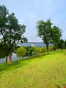 湖畔绿意盎然的草地风光