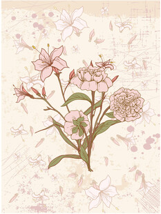 复古风花卉植物插画