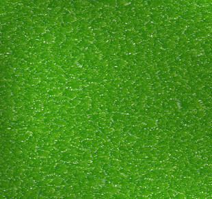 翠绿草地纹理背景图