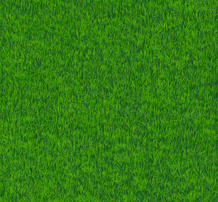 翠绿草坪纹理背景图