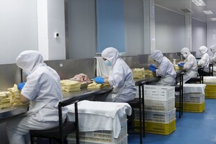 食品加工厂