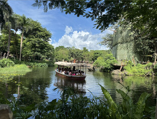 迪士尼河流
