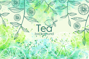 清新手绘风茶叶主题插画