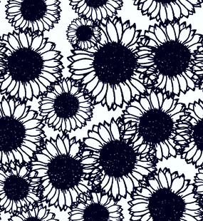 黑白雏菊图案纹理